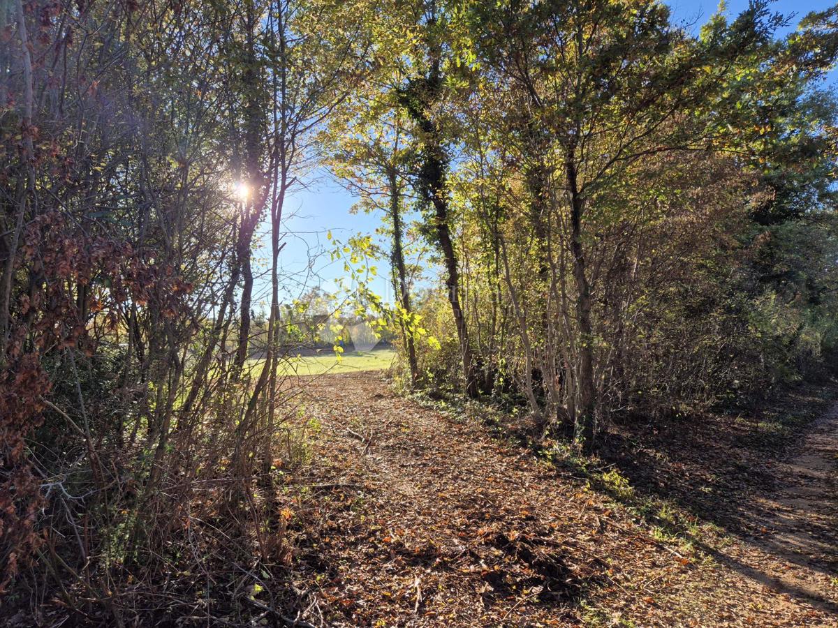 Terreno edificabile Barban, 9.700m2