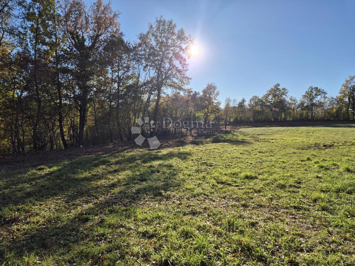 Terreno edificabile Barban, 9.700m2