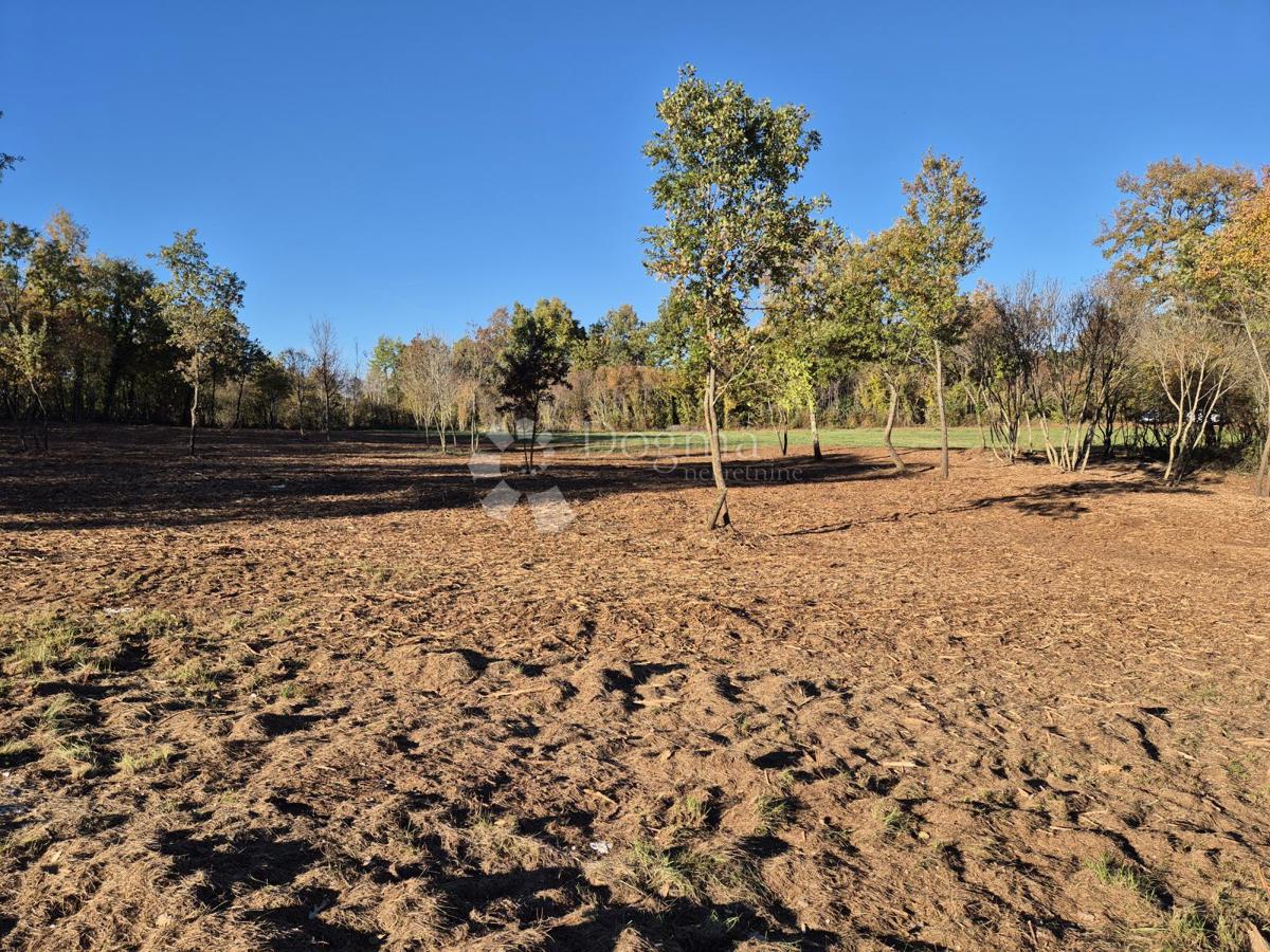 Terreno edificabile Barban, 9.700m2