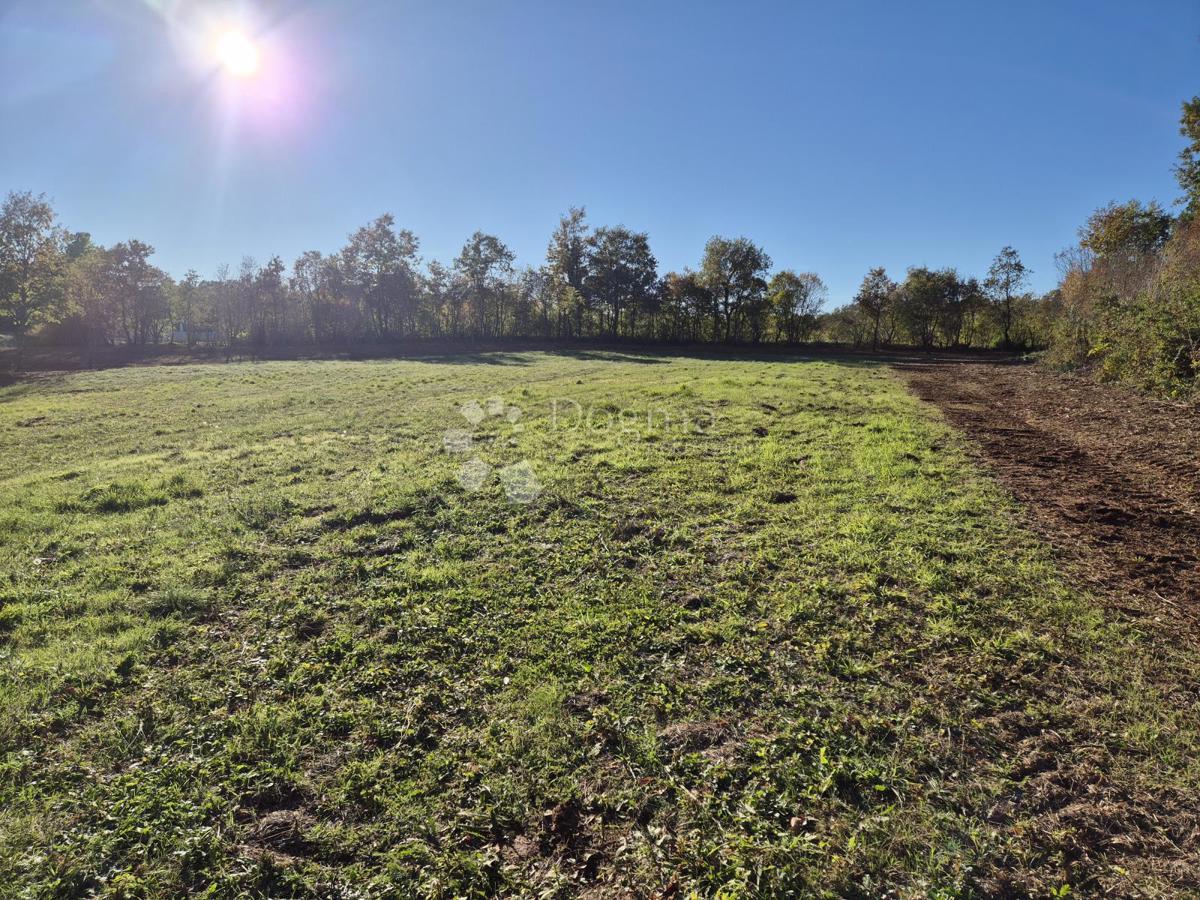 Terreno edificabile Barban, 9.700m2