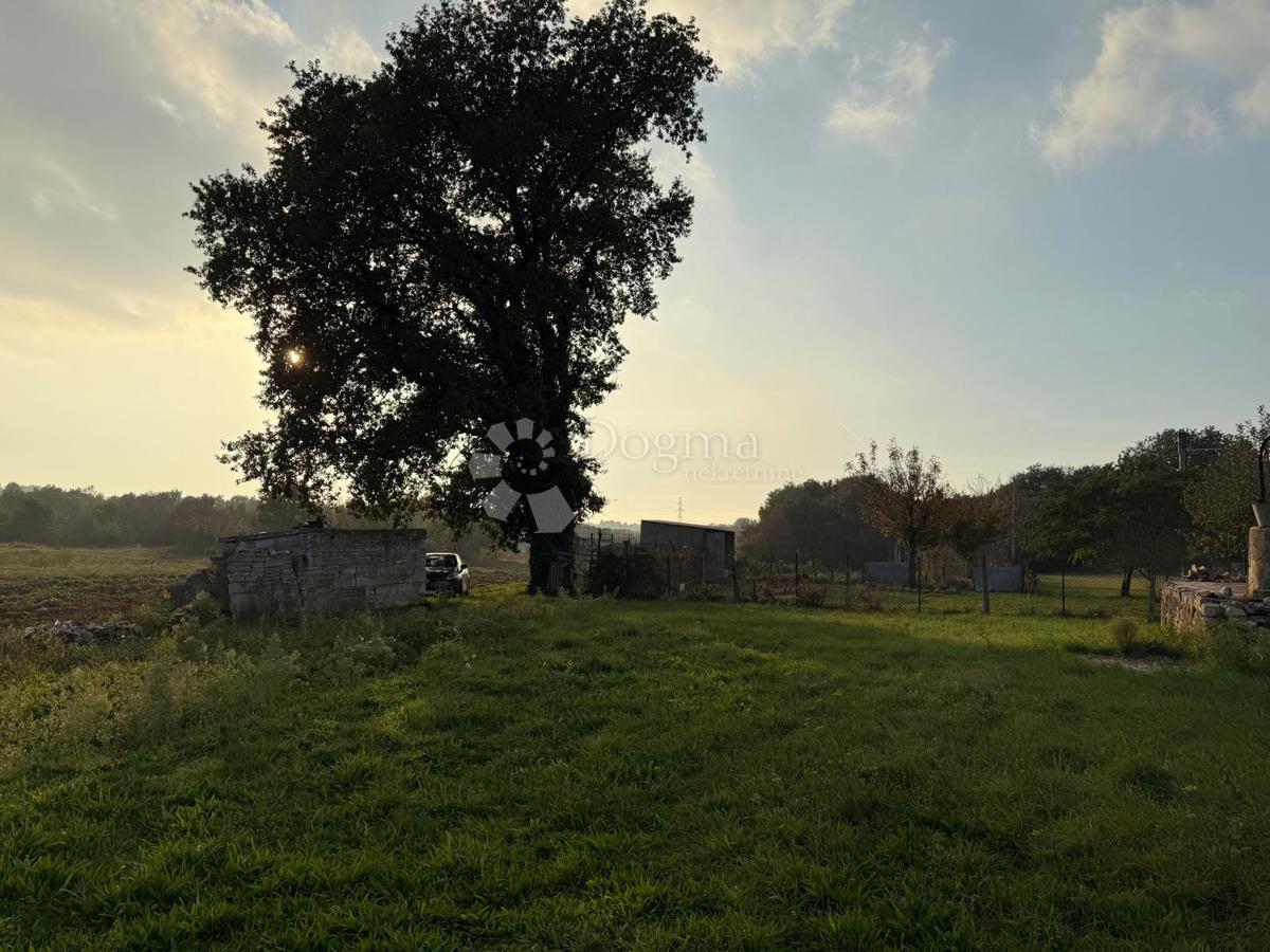 Casa da ristrutturare completamente su 541 m2 di giardino