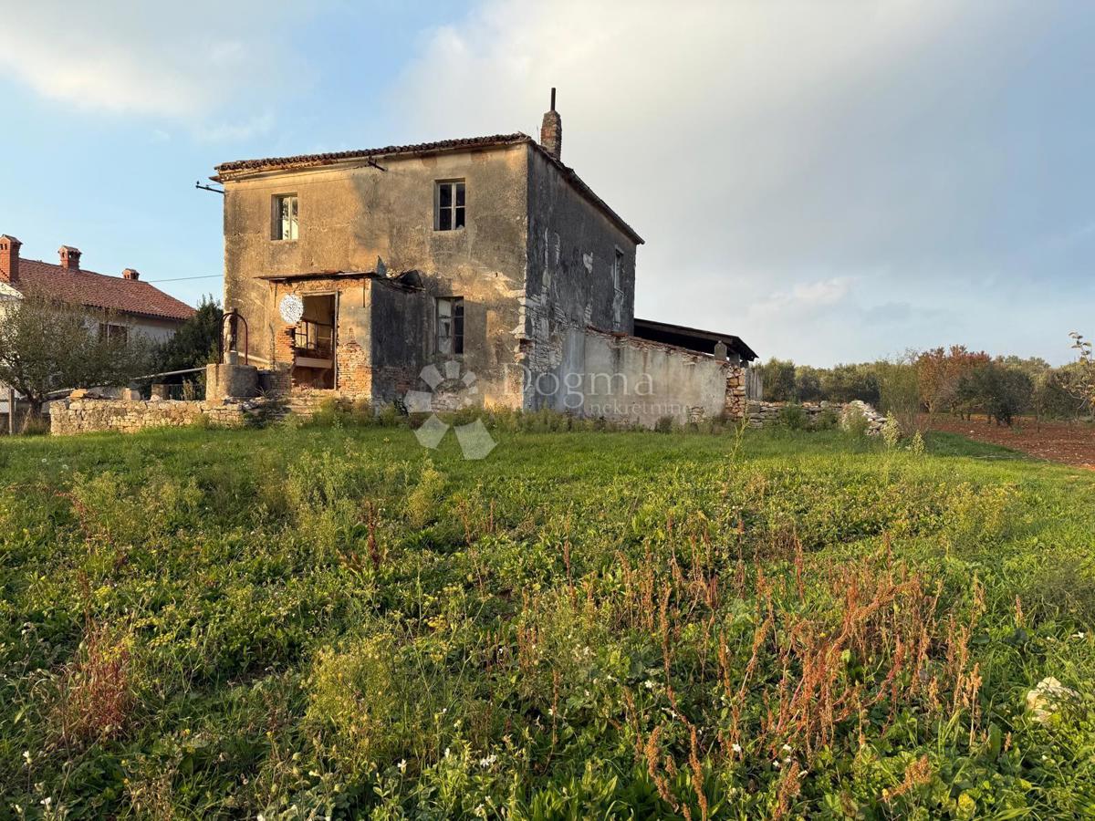 Casa da ristrutturare completamente su 541 m2 di giardino