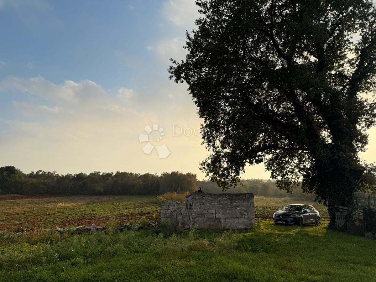 Casa da ristrutturare completamente su 541 m2 di giardino