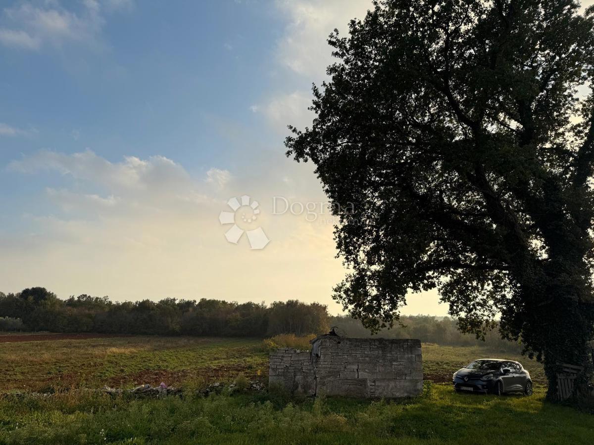 Casa da ristrutturare completamente su 541 m2 di giardino