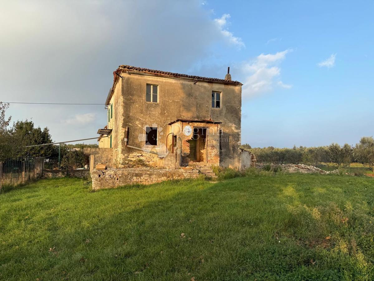 Casa da ristrutturare completamente su 541 m2 di giardino