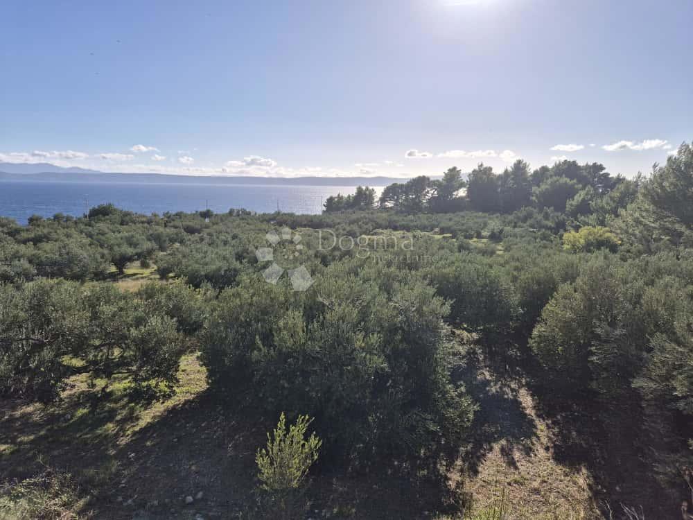 Terreno Edificabile Unico a Podgora — 6356 m² vicino al Mare e alla Natura Incontaminata