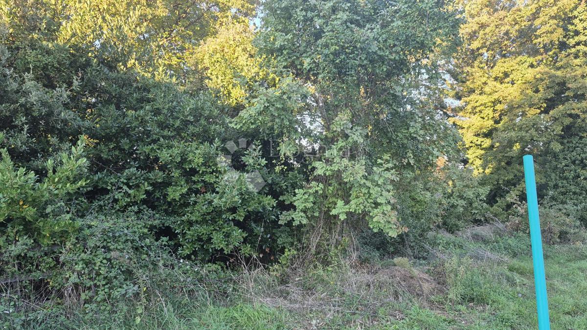 Terreno edificabile superficie 1968 m2, a 2 km dal mare, 80 EUR/m2