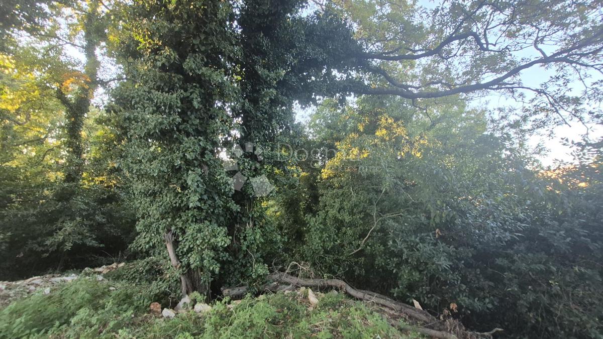 Terreno edificabile superficie 1968 m2, a 2 km dal mare, 80 EUR/m2