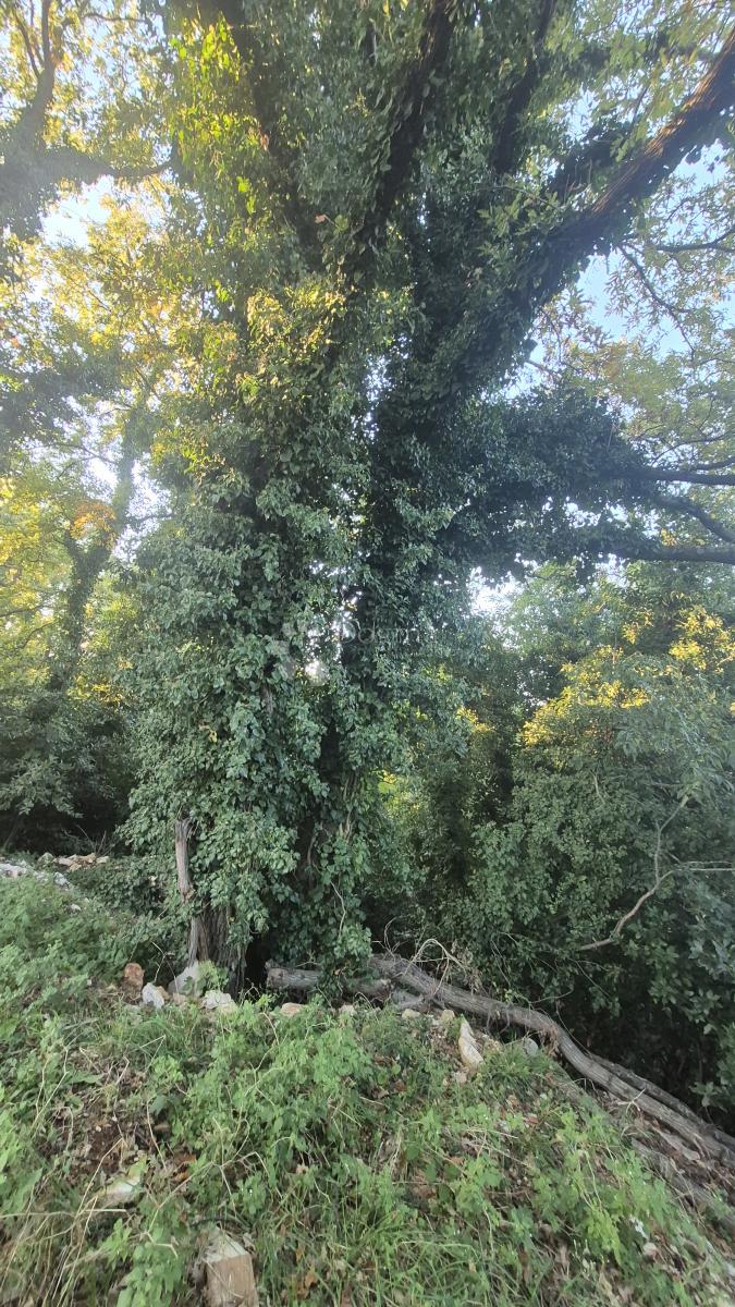 Terreno edificabile superficie 1968 m2, a 2 km dal mare, 80 EUR/m2