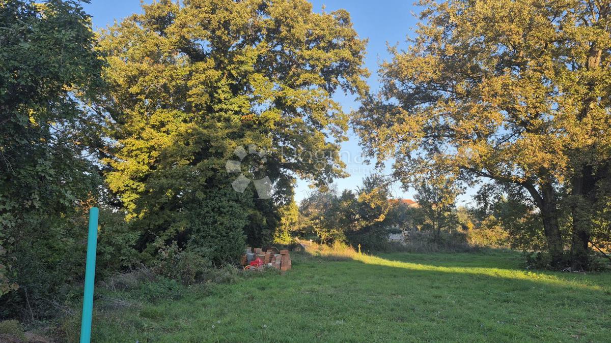 Terreno edificabile superficie 1968 m2, a 2 km dal mare, 80 EUR/m2