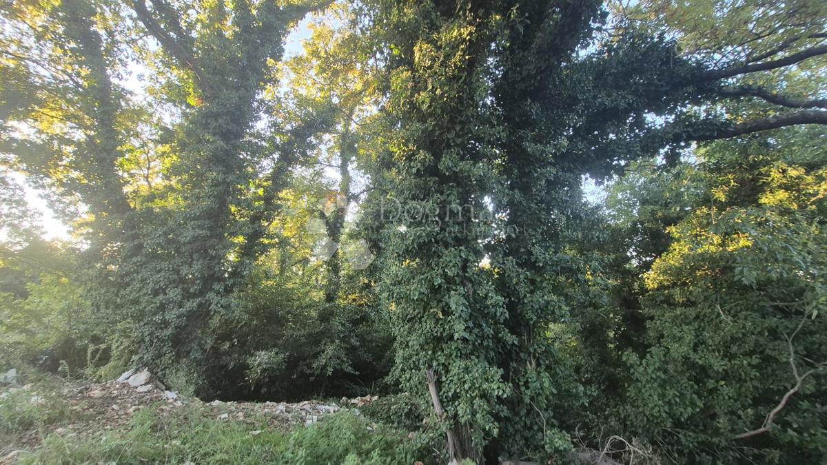 Terreno edificabile superficie 1968 m2, a 2 km dal mare, 80 EUR/m2