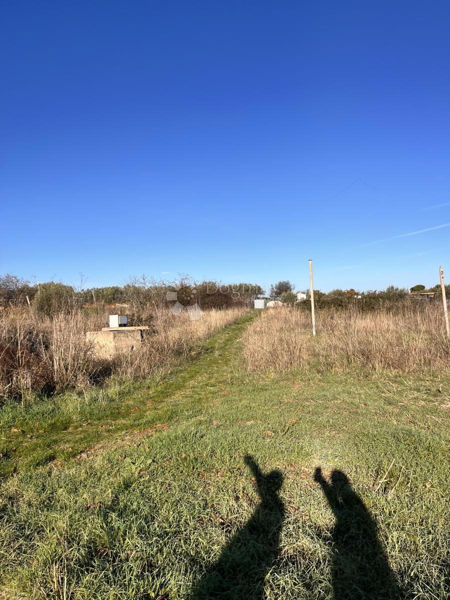 Terreno edificabile Dobropoljana, Pašman, 5.923m2