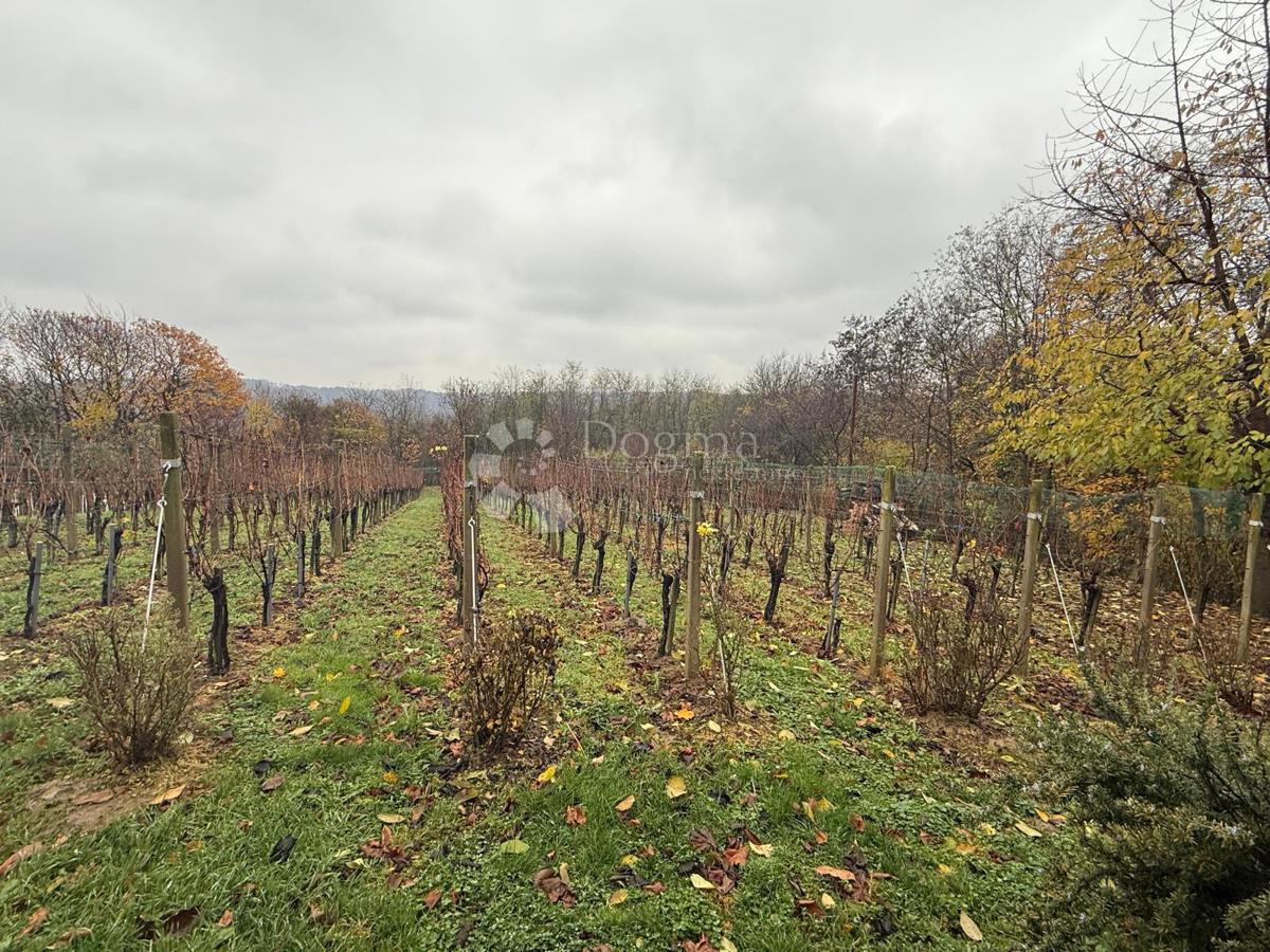 Casa Vinogradi Ludbreški, Ludbreg, 75m2