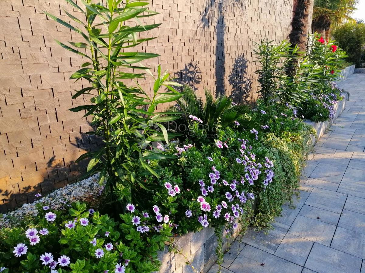 Casa Zaton, Nin, 603m2