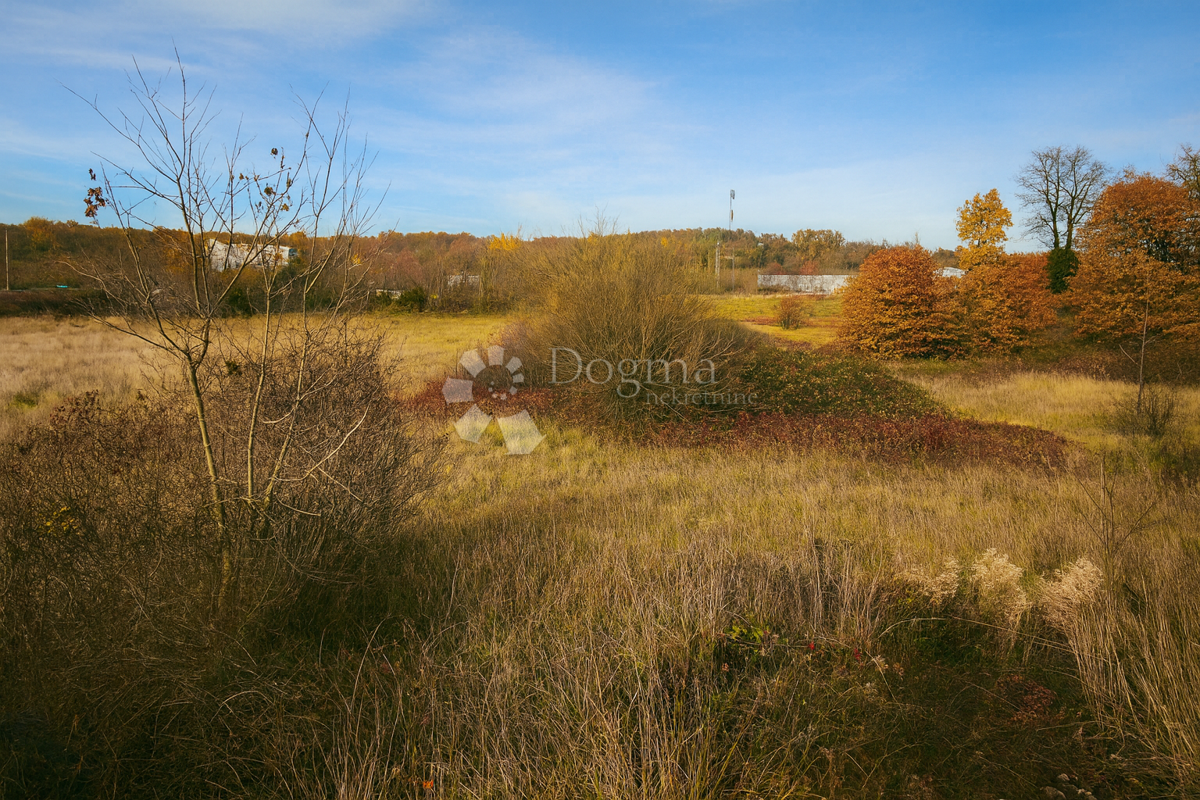 Terreno edificabile Zabrežani, Pazin - Okolica, 9.180m2
