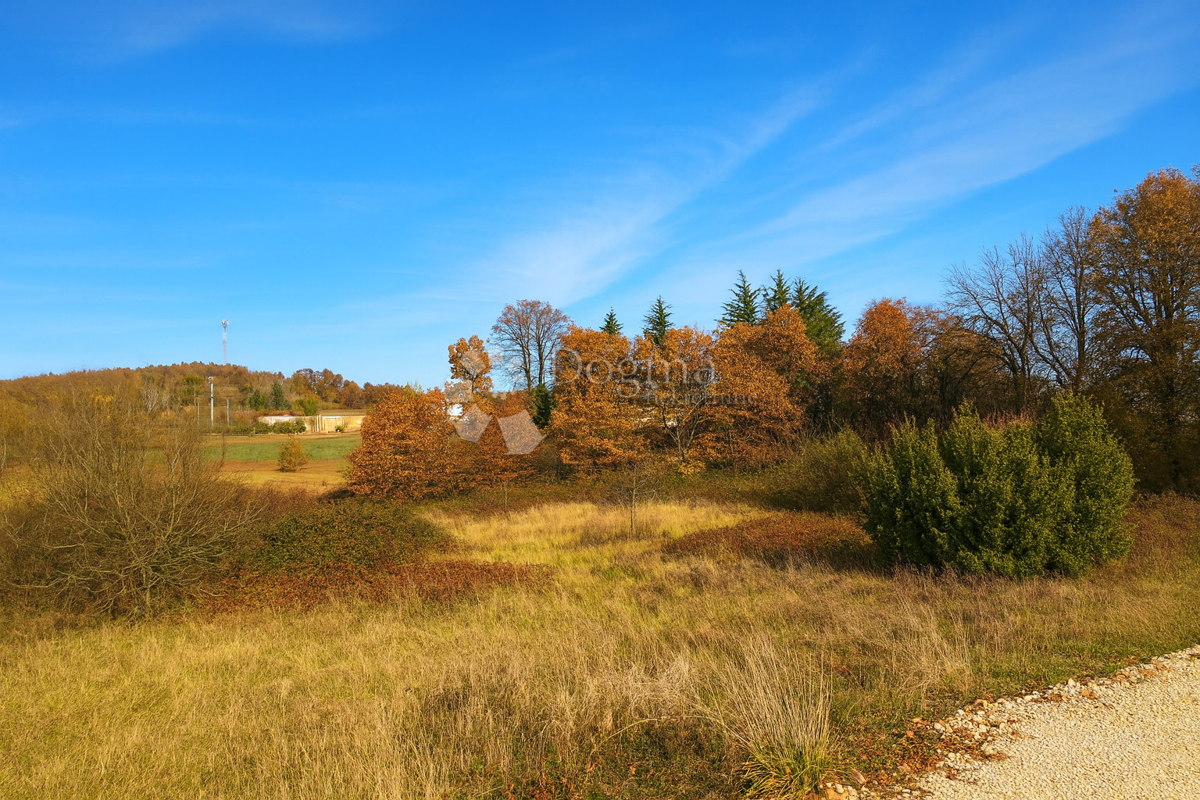 Terreno edificabile Zabrežani, Pazin - Okolica, 9.180m2