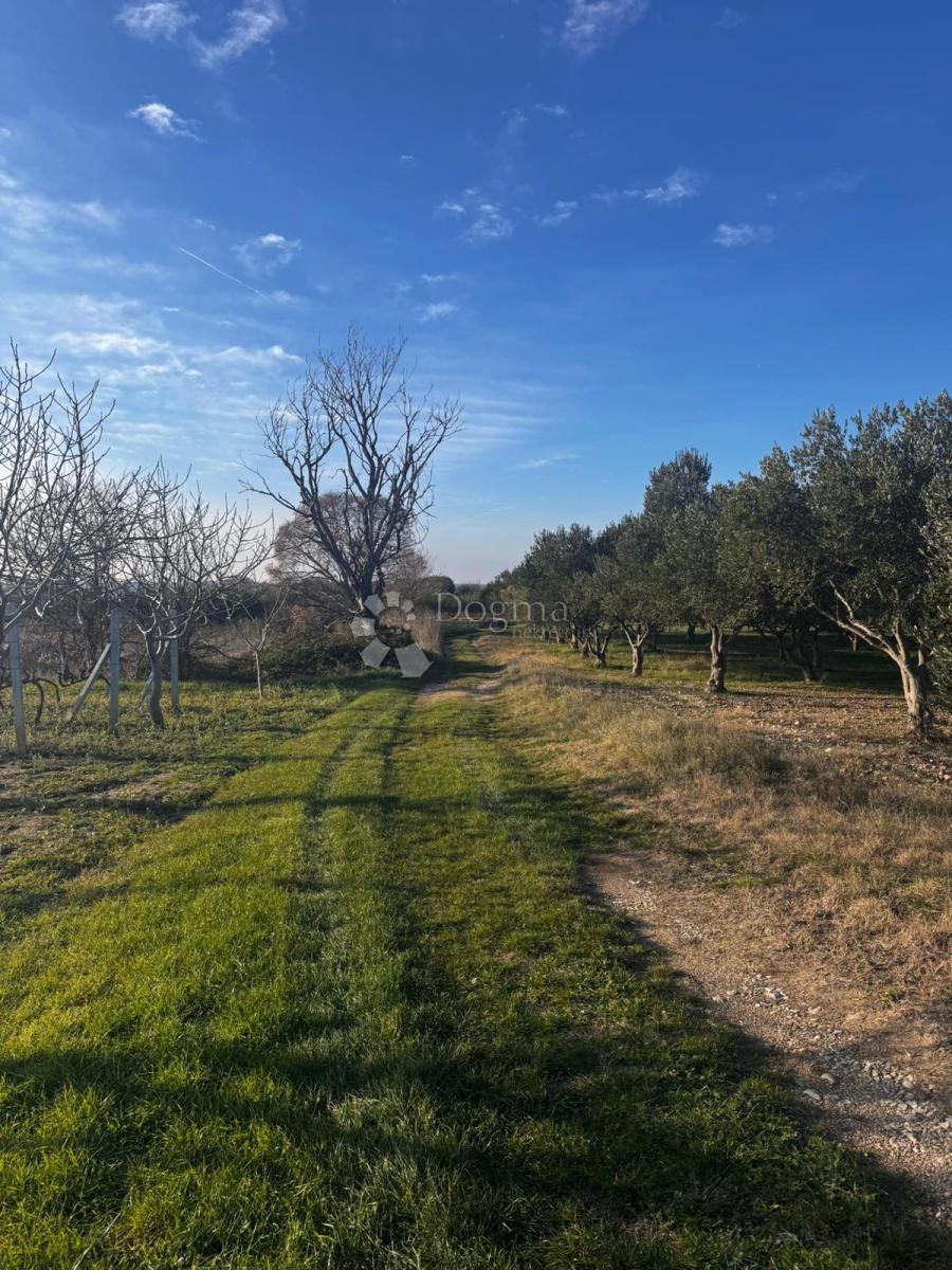Terreno edificabile Zemunik Gornji, Zemunik Donji, 1.400m2