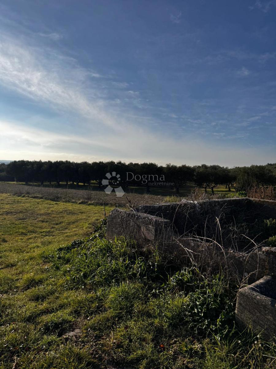 Terreno edificabile Zemunik Gornji, Zemunik Donji, 1.400m2