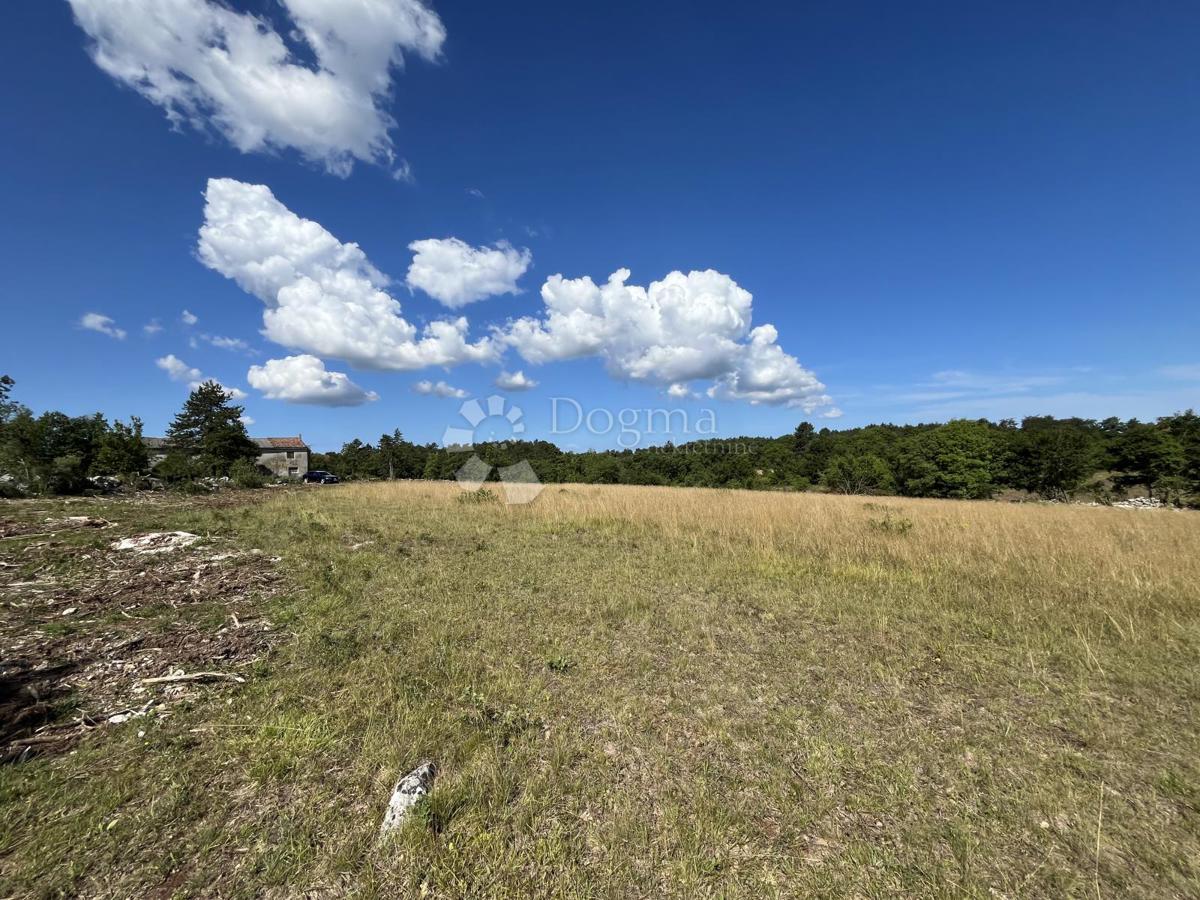 GROŽNJAN, COMPLESSO DI TERRENI COSTRUIBILI E AGRICOLI