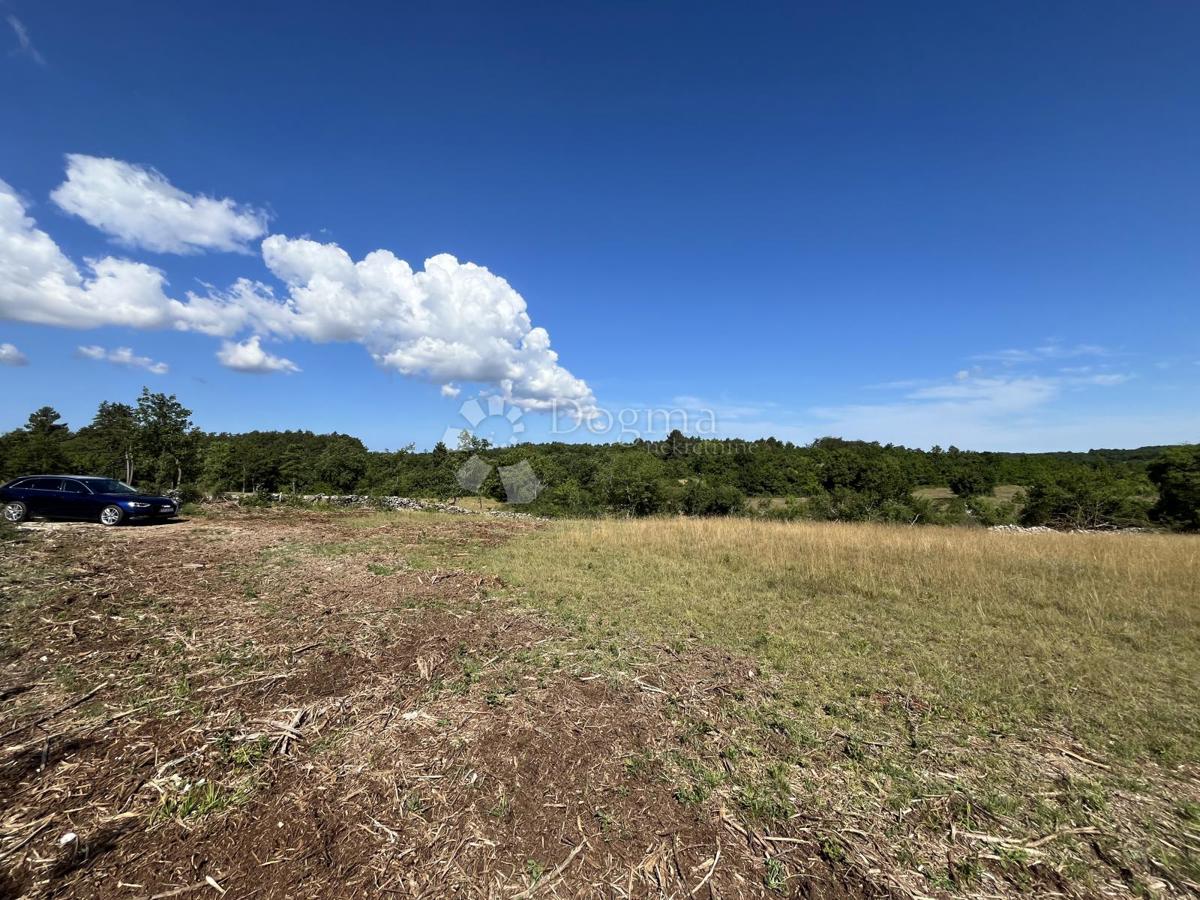 GROŽNJAN, COMPLESSO DI TERRENI COSTRUIBILI E AGRICOLI