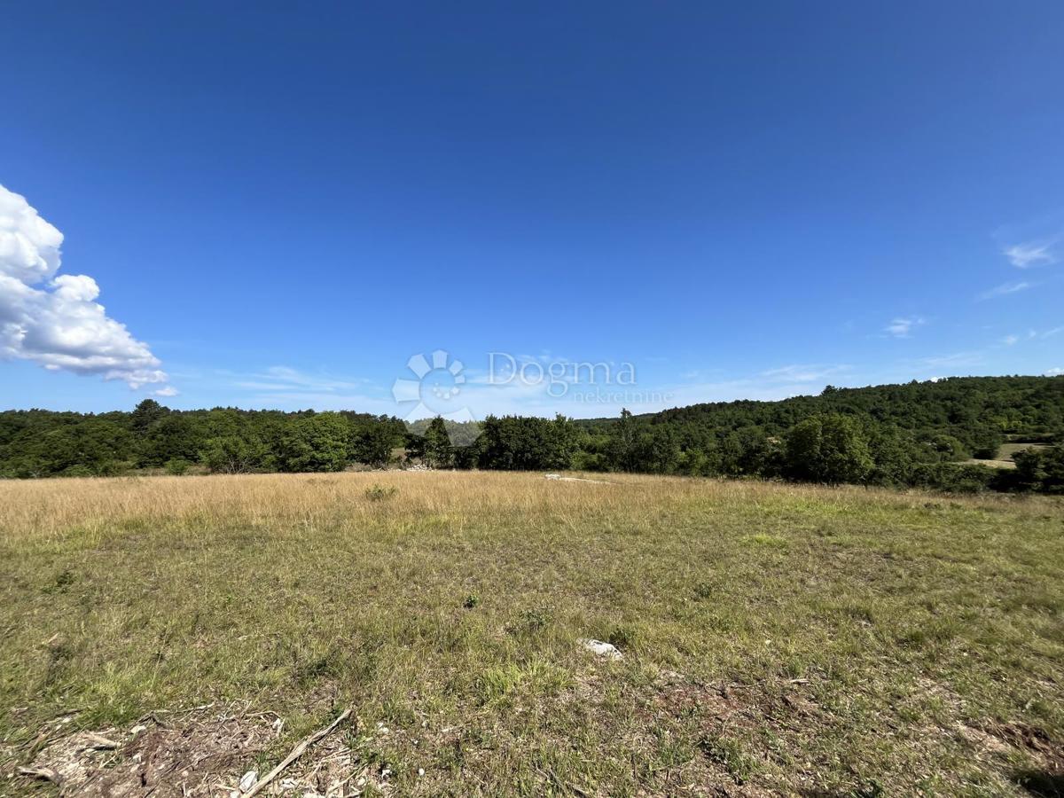 GROŽNJAN, COMPLESSO DI TERRENI COSTRUIBILI E AGRICOLI