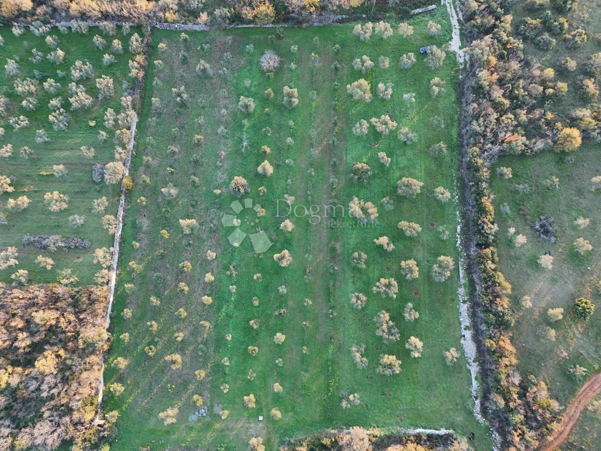 Terreno Fažana, 3.630m2