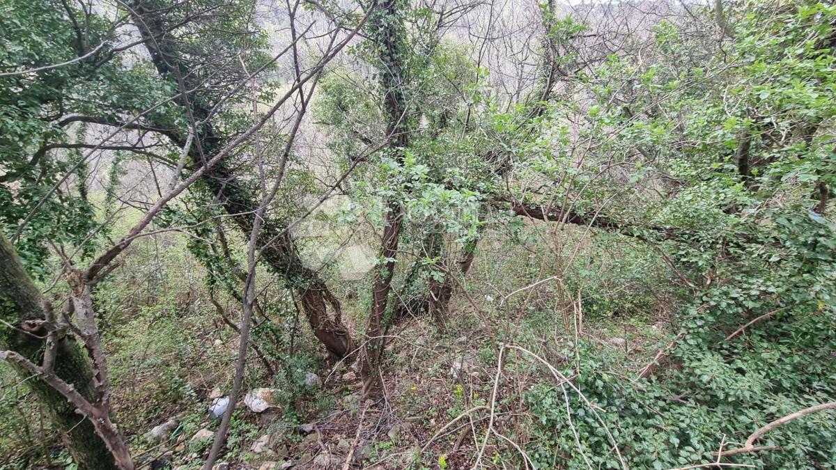 Terreno edificabile Draga, Rijeka, 5.276m2