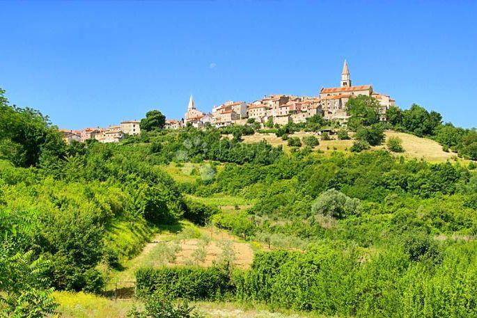 Terreno agricolo Krasica, Buje, 10.489m2