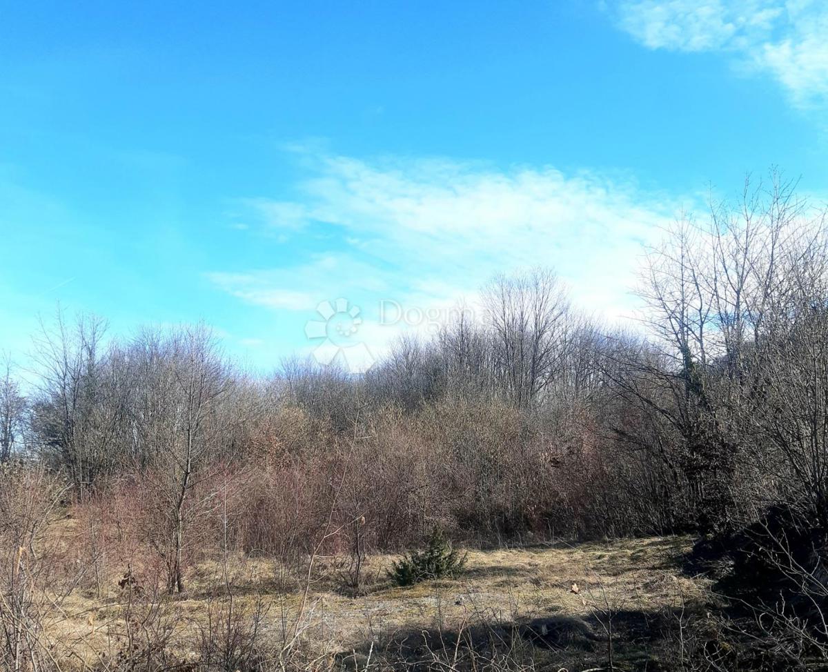 Terreno edificabile Ogulin, 4.600m2