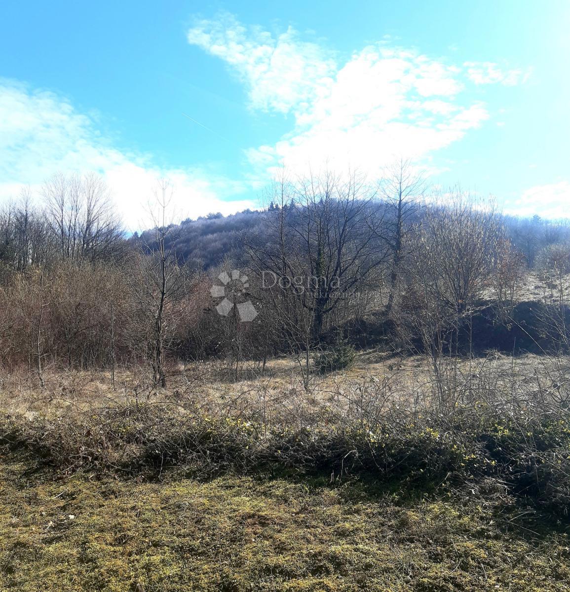 Terreno edificabile Ogulin, 4.600m2