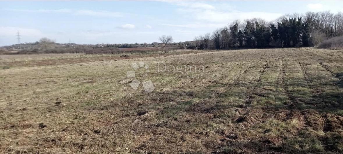 Terreno agricolo Valdebek, Pula, 3.026m2