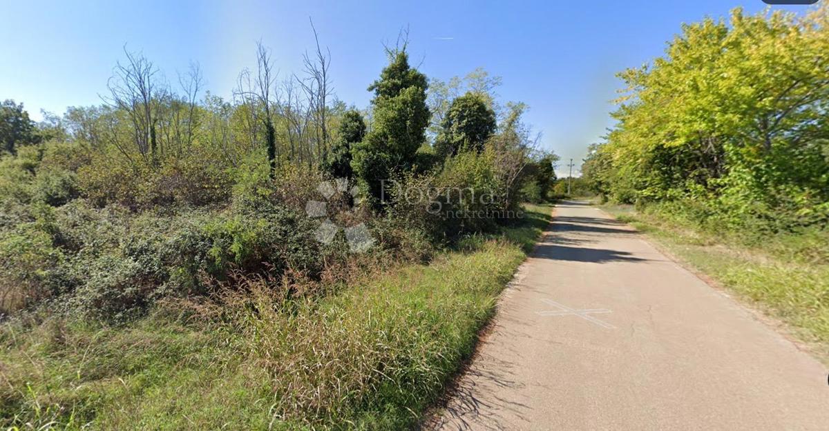 Terreno agricolo Lovrečica, Umag, 6.938m2