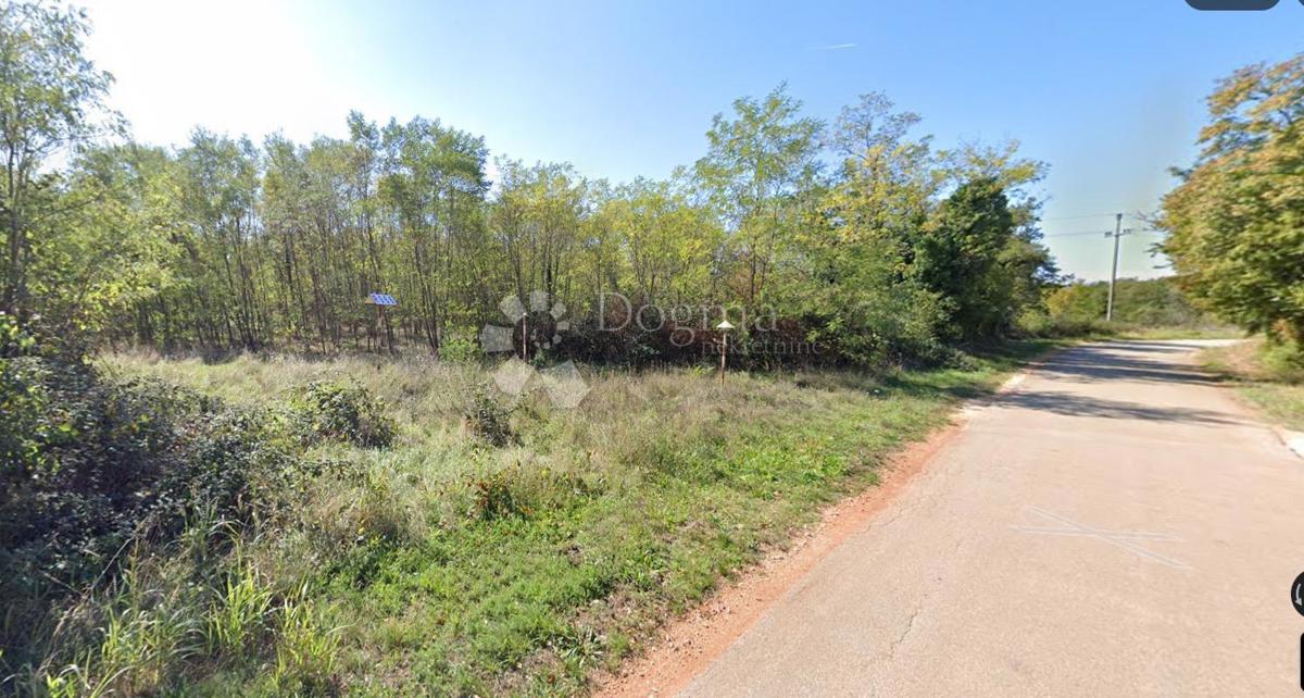 Terreno agricolo Lovrečica, Umag, 6.938m2