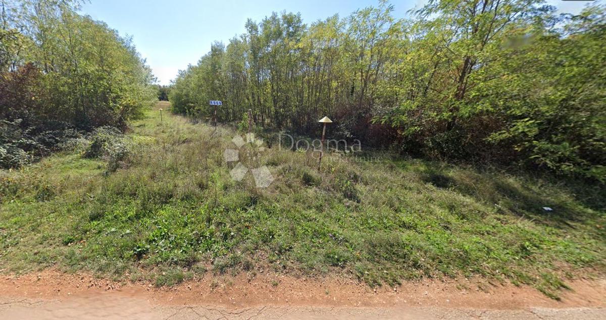 Terreno agricolo Lovrečica, Umag, 6.938m2