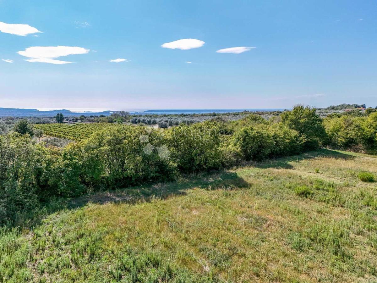 Terreno edificabile Vodnjan, 886m2