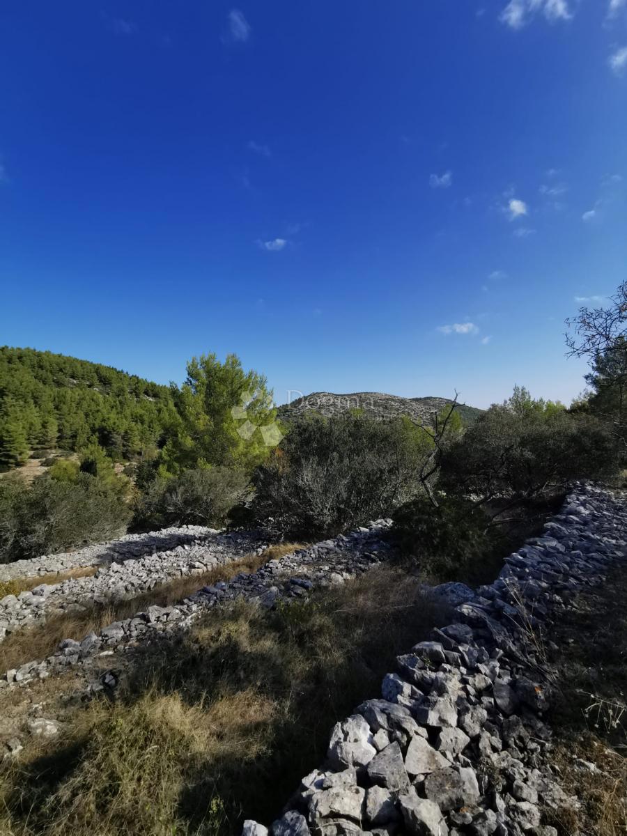 Terreno agricolo Potirna, Blato, 8.000m2