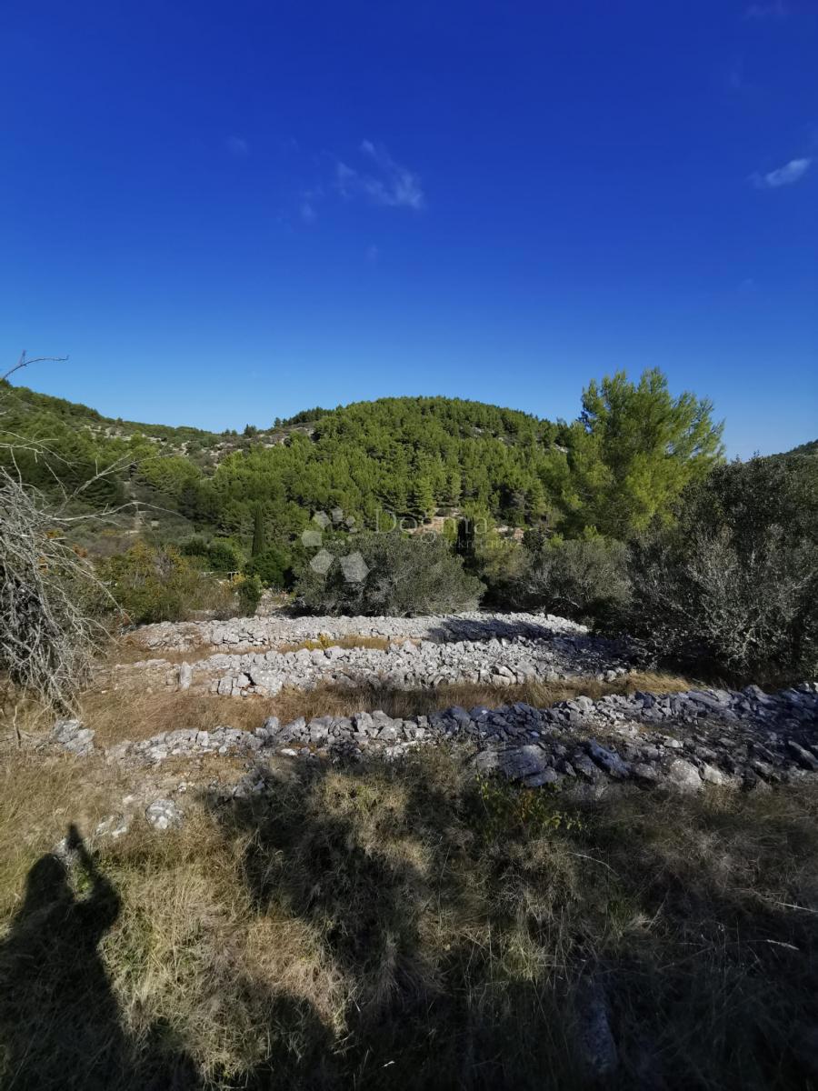 Terreno agricolo Potirna, Blato, 8.000m2