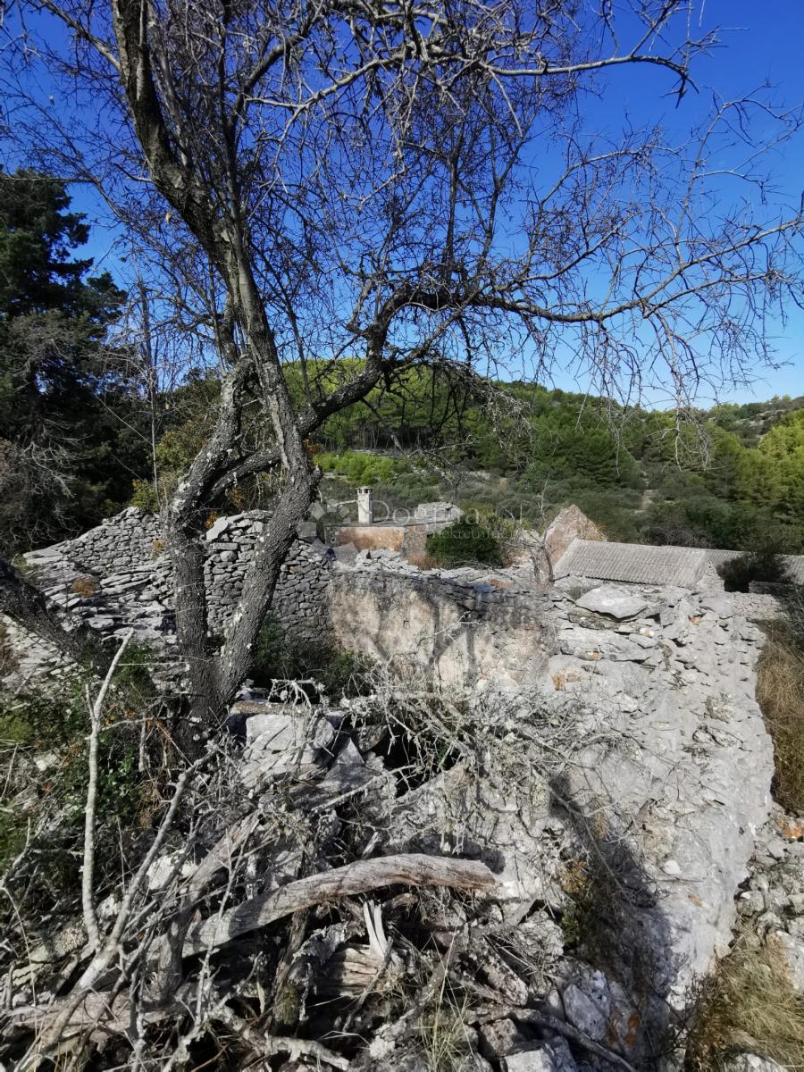 Terreno agricolo Potirna, Blato, 8.000m2