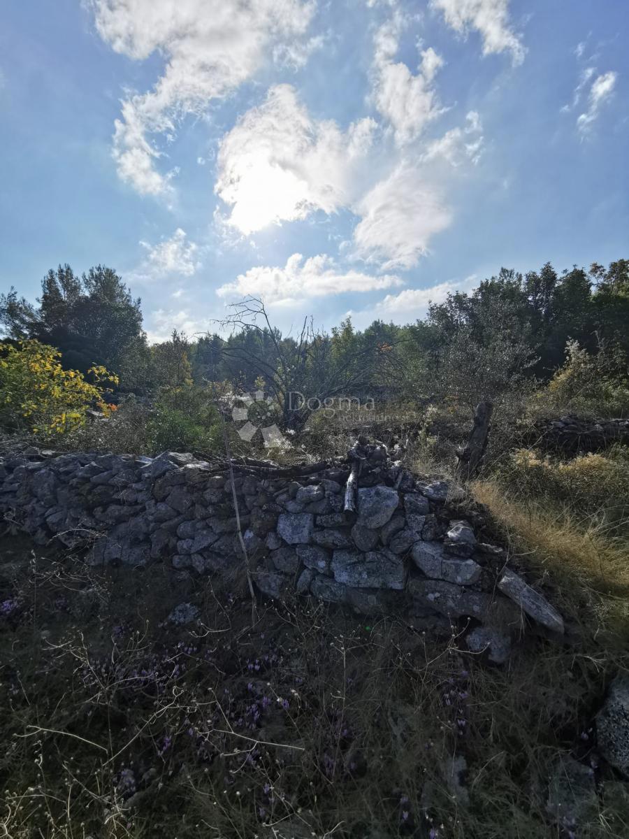 Terreno agricolo Potirna, Blato, 8.000m2