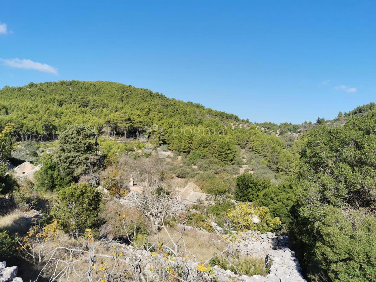 Terreno agricolo Potirna, Blato, 8.000m2