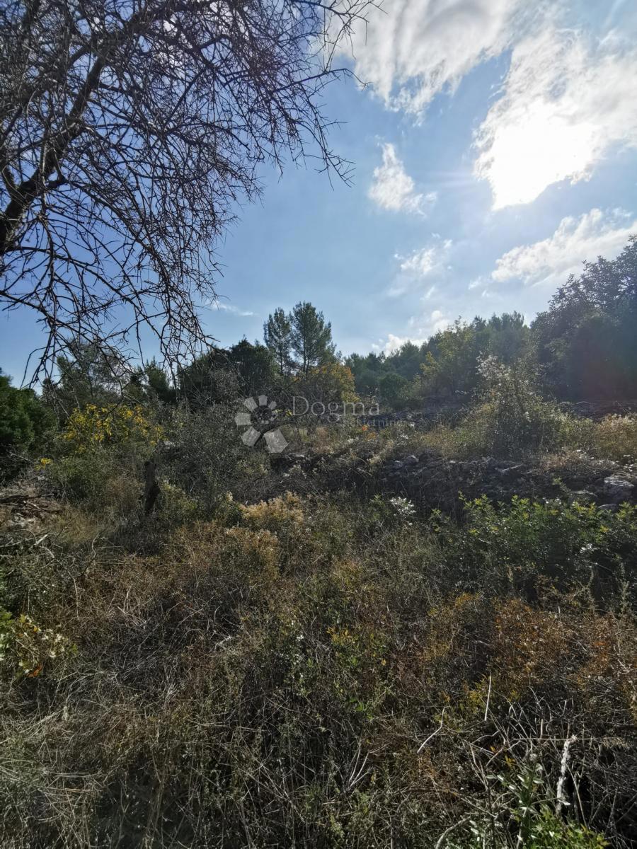 Terreno agricolo Potirna, Blato, 8.000m2
