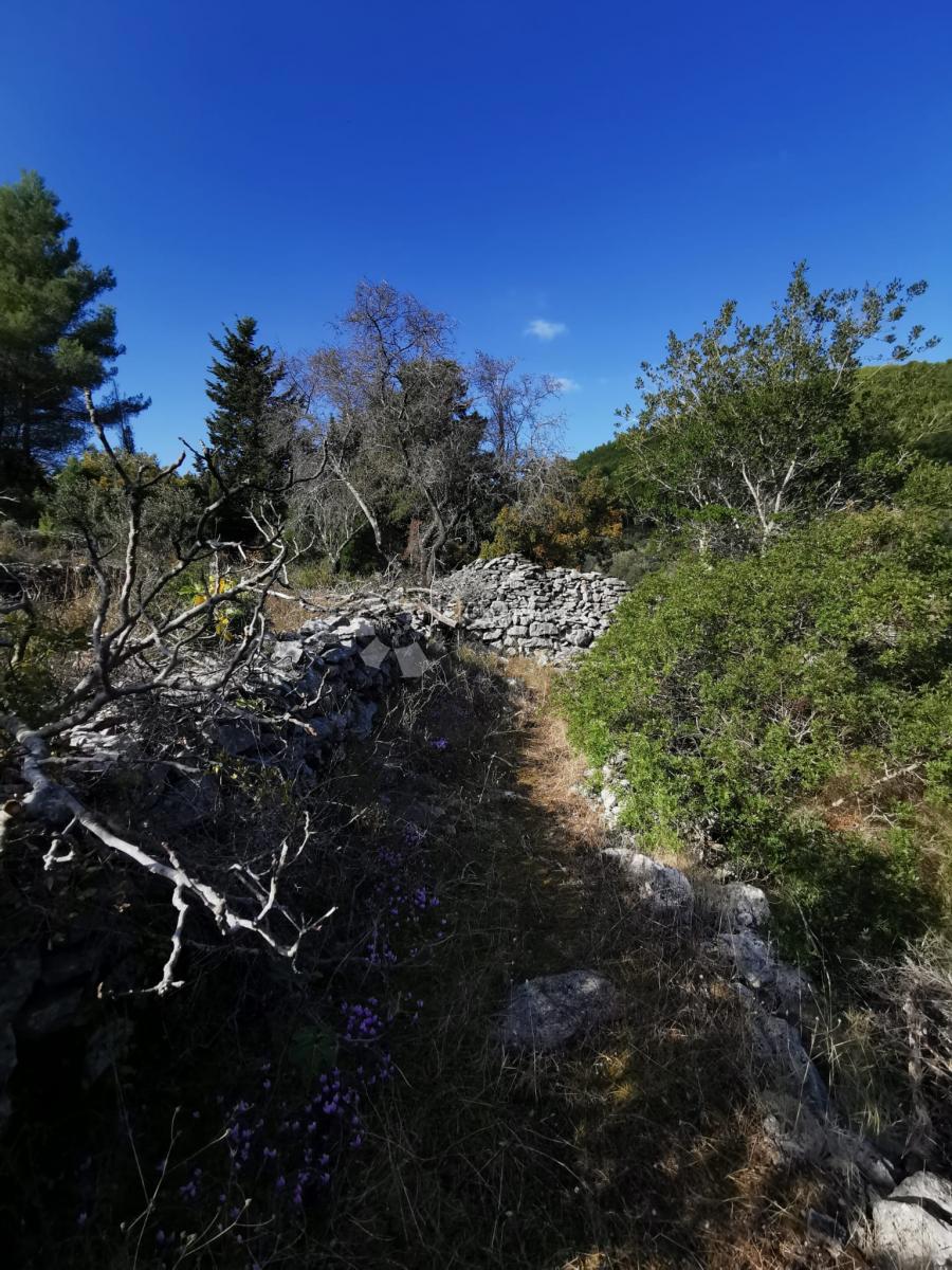 Terreno agricolo Potirna, Blato, 8.000m2