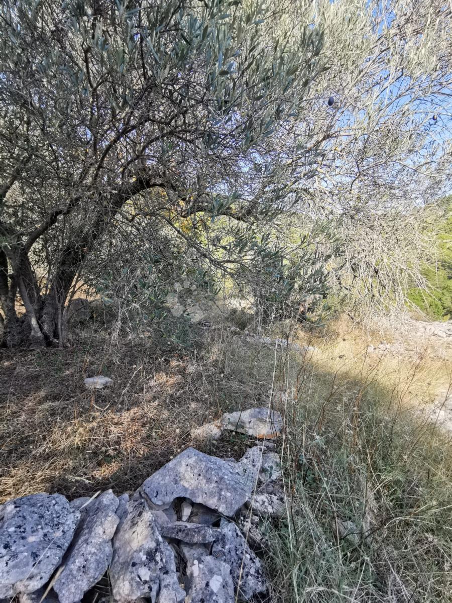 Terreno agricolo Potirna, Blato, 8.000m2