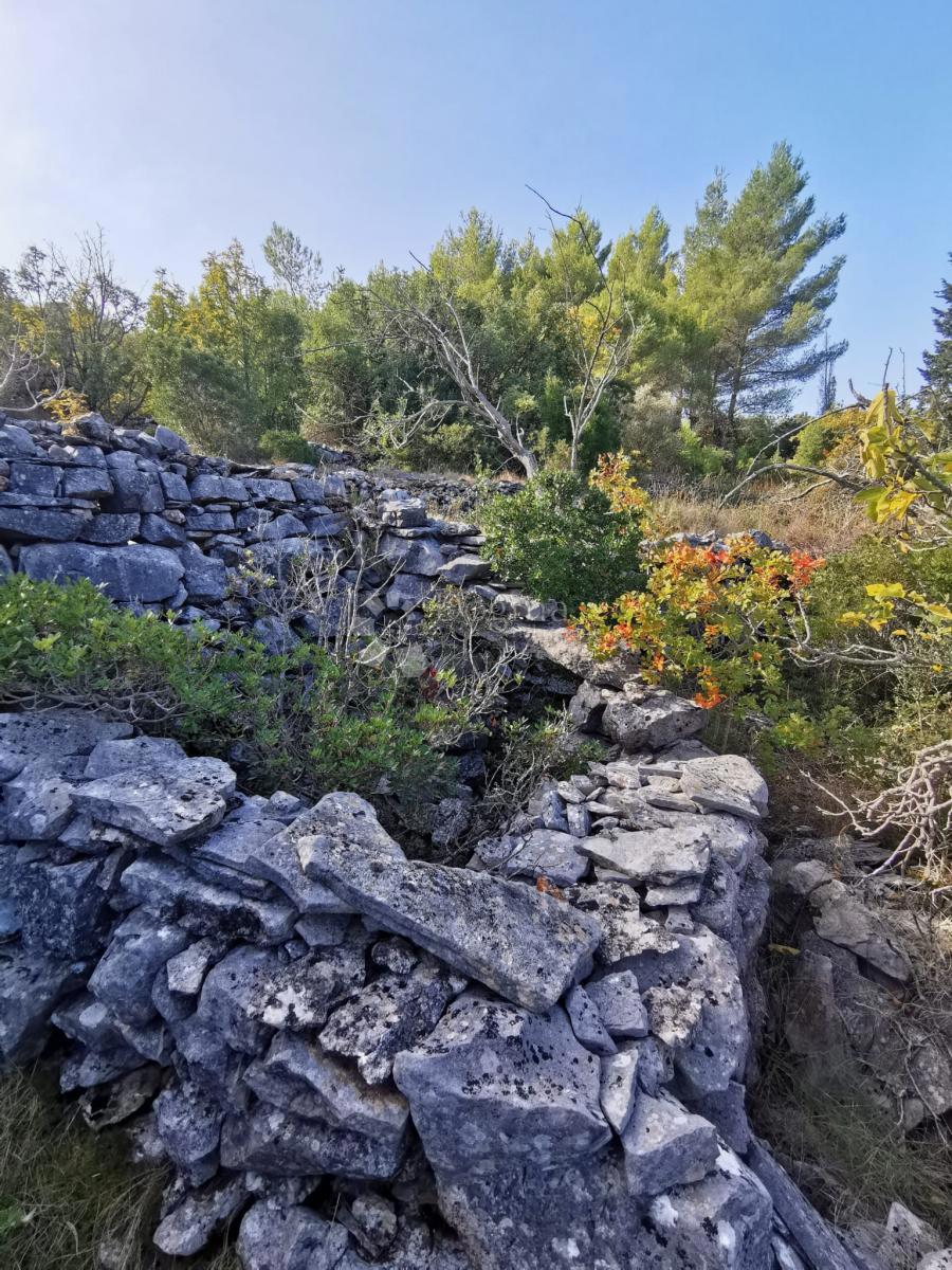 Terreno agricolo Potirna, Blato, 8.000m2