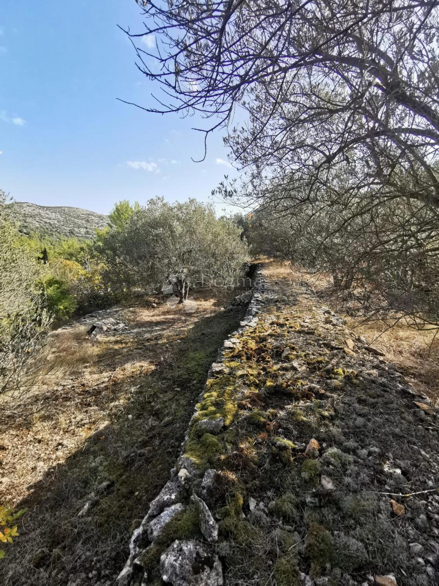 Terreno agricolo Potirna, Blato, 8.000m2