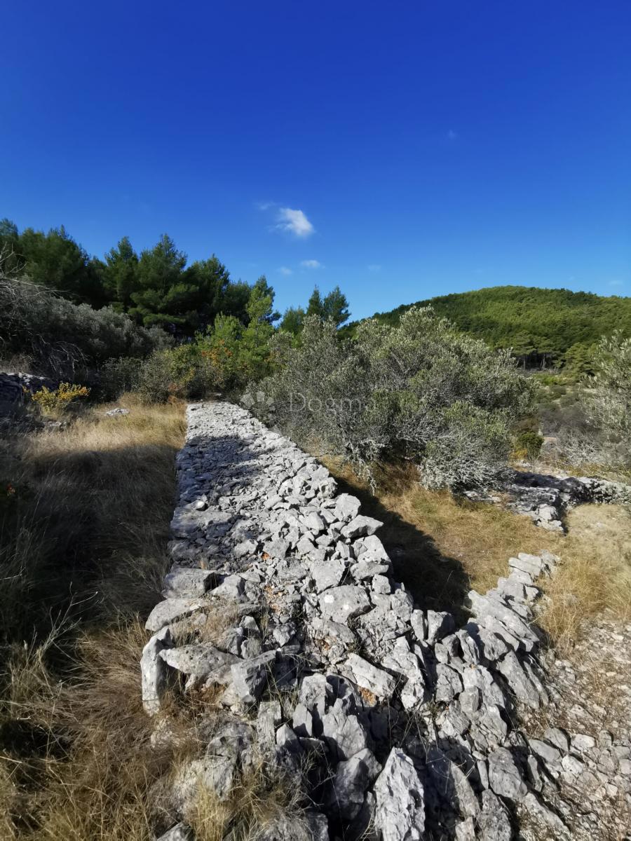 Terreno agricolo Potirna, Blato, 8.000m2
