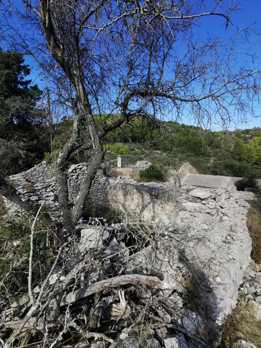 Terreno agricolo Potirna, Blato, 8.000m2