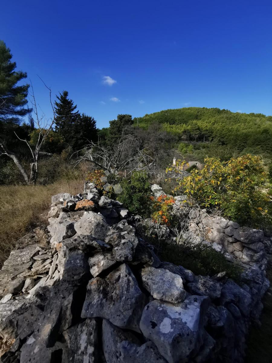 Terreno agricolo Potirna, Blato, 8.000m2