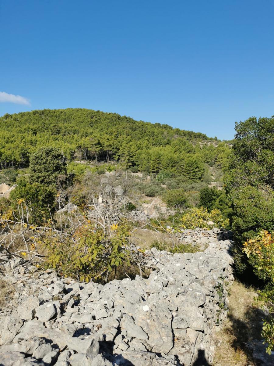 Terreno agricolo Potirna, Blato, 8.000m2