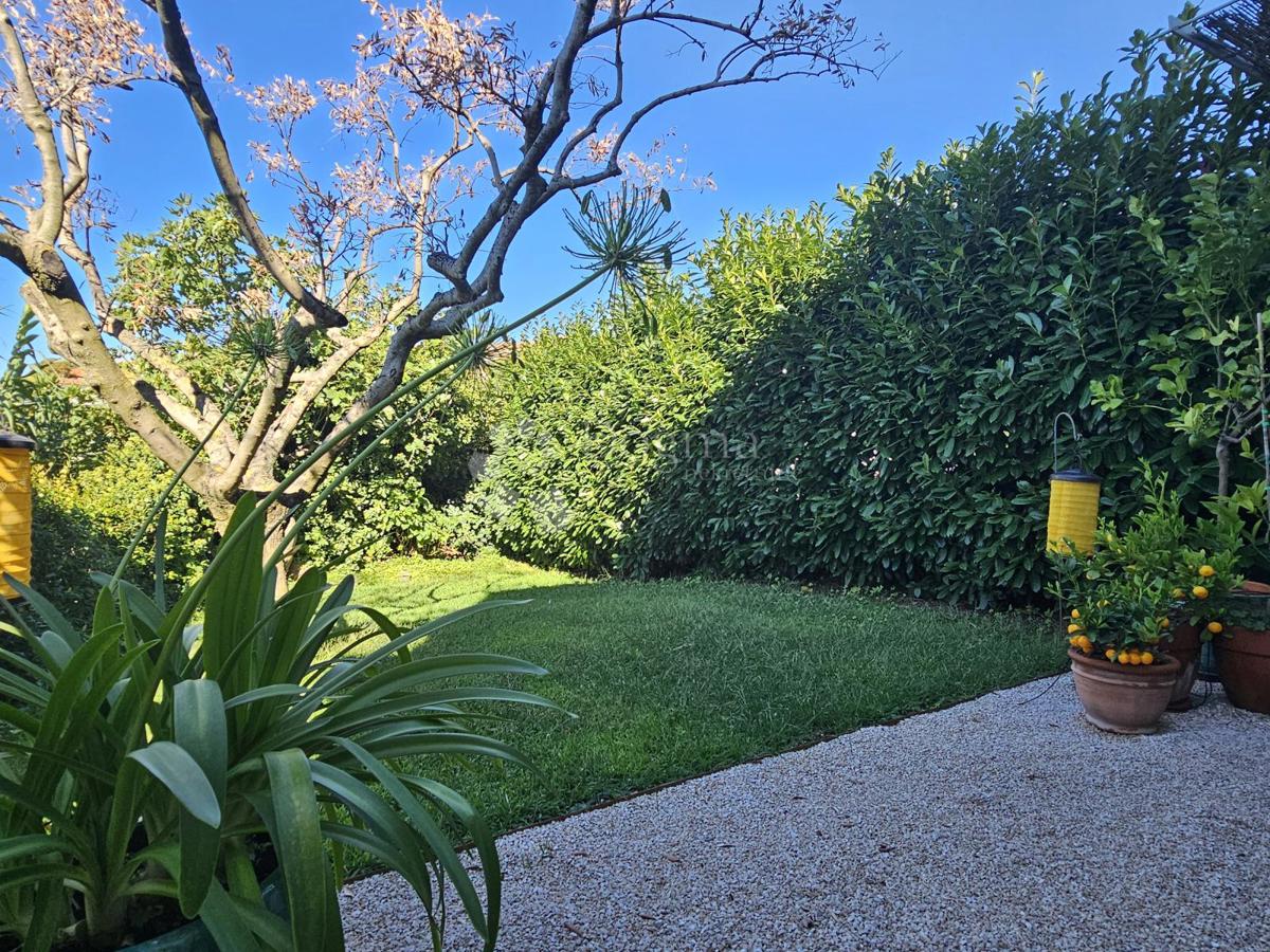 Eleganza, brutalismo e architettura istriana con vista panoramica